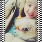 Henry - @daileylife_of_henry - Instagram