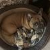 Henry Dickinson - Facebook