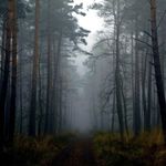 Henry Dobbs - @henry_dobbs_poetry - Instagram