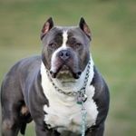 John Henry Dobbs - @dobbs6407 - Instagram