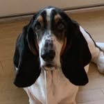 Henry Doll - @henry.doll.71 - Instagram
