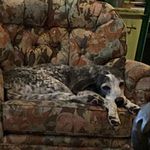 Henry Drew - @henry_throws - Instagram