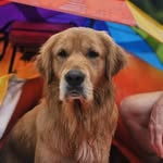Dutton Henry - @dutton_henry_s - Instagram