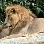 Henry Dyer Liu - @henrydl0627 - Instagram