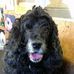 Henry Eaves - Facebook