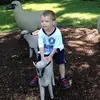 Henry - @henry.eddy - TikTok