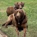 Hank Edmondson - Facebook