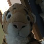 Henry Ely Stacey - @henry_ely_stacey - Instagram