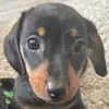 henry.ely.1104 - @henry.ely.1104 - TikTok