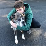 Henry - @henryengel - Instagram