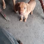 Henry Espejo - Facebook