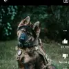 henryespejo268 - @henryespejo268 - TikTok