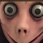 Henry Estep - @wild_290 - Instagram