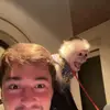 Henry - @henryestes - TikTok