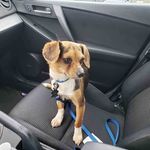 buddy hank - @budreaux_henry_ezell - Instagram