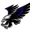 🦅 - @henryfalcons - TikTok