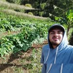 Henry Fallas - @fallashenry - Instagram