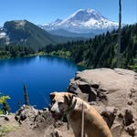 Henry Farber - @yofarbs - Instagram