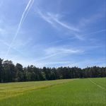 Henry F - @henryferriswheel - Instagram