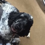 Henry And Stella Fields - @henryandstellafields - Instagram
