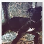 Henry Fields - @fields.henry - Instagram