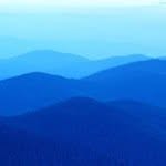 Henry Fields - @hammer292 - Instagram