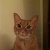 Henry Fillmore - Facebook