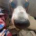 Henry Fillmore - Facebook