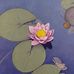 Henry Fine Arts Gallery - Facebook