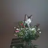 Megan Henry Fine - @34198169912 - TikTok