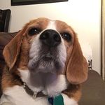 Henry - @henry_fleury - Instagram
