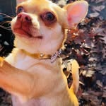 Henry Flink - @flink418 - Instagram