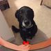 Henry M. Flink - Facebook