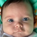 Henry Flowers - @henryflowers4 - Instagram