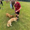 henry_forster - @henry_forster - TikTok