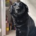 Henry Frederick - Facebook