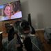 Hank Fredrickson - Facebook