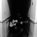 Henry Fry - Facebook