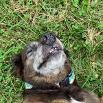 Henry Gannon - @henry_gannon527 - Instagram