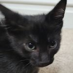 henry - @henry.gann - Instagram