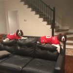 Garrison & Henry - @garrison_and_henry - Instagram