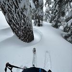 Henry Garrison - @skipalisades12 - Instagram
