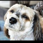 Henry Garrison - @henrygarrison - Instagram