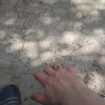 Henry Gent - @henry_gent1919 - Instagram