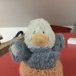 Henry Gerlinger - @swanslivesmatter - Instagram