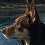 Henry Gilchrist - Facebook