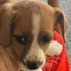 Henry Goldsmith43 - @henrygoldsmith0 - TikTok