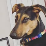 Henry Goldsmith - @imhenrygoldsmith56 - Instagram