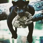 Robert Henry Grantham - @robertgrantham6 - Instagram