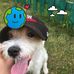 Henry Grossmanm - Facebook